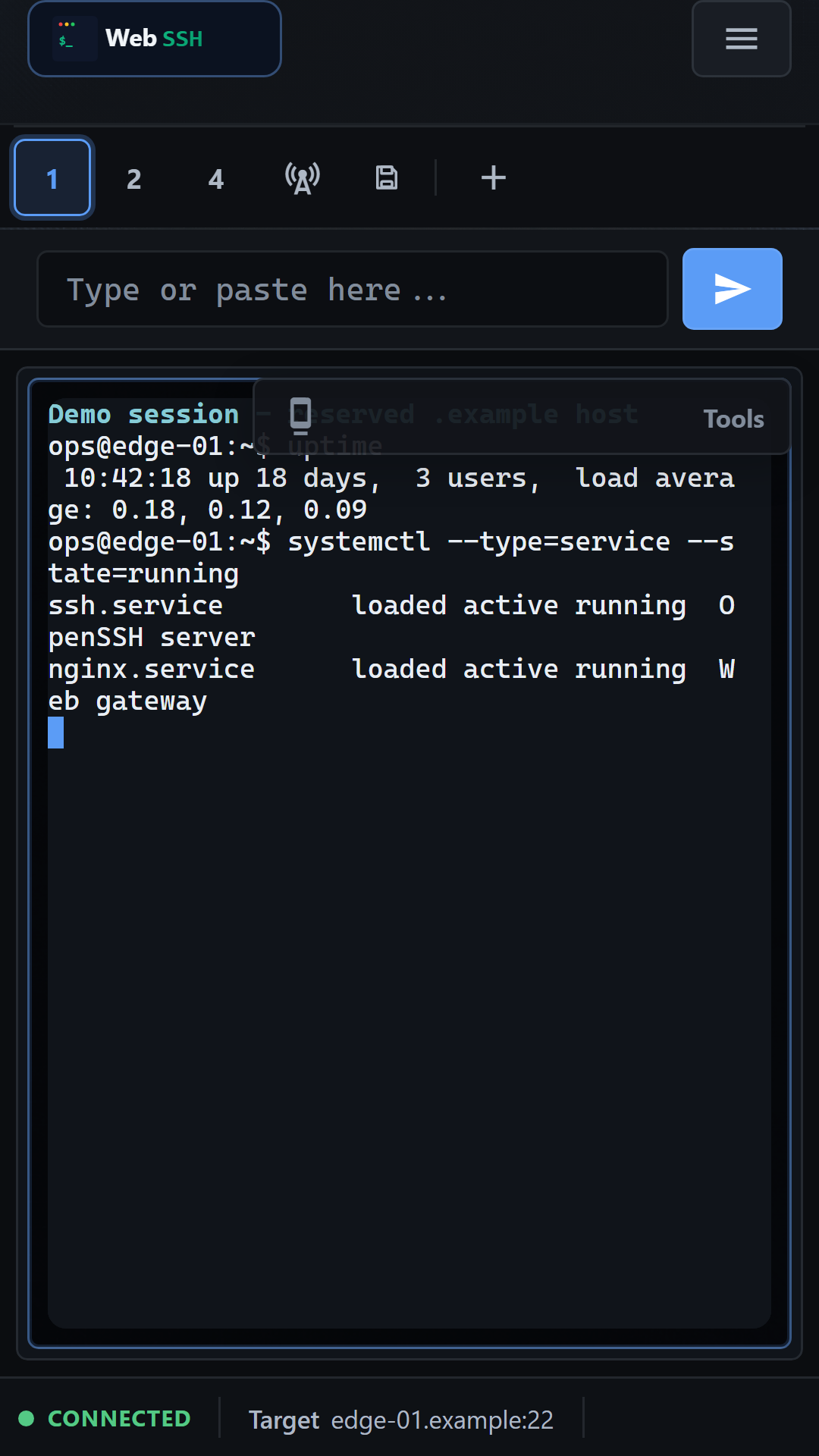 WebSSH mobile terminal with session controls and connection status